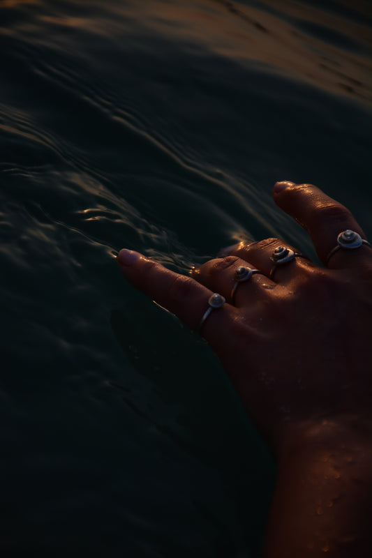 Lost Coins Of Atlantis